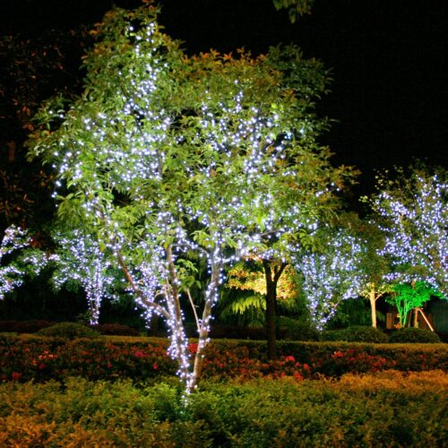 24V Low Voltage String Lights